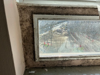 schimmel_machtens_Molenbeek_20260309