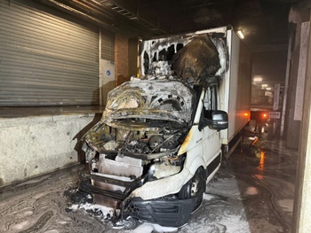 2026-03-10-brand haven