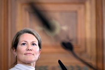 Anneleen Van Bossuyt (N-VA)