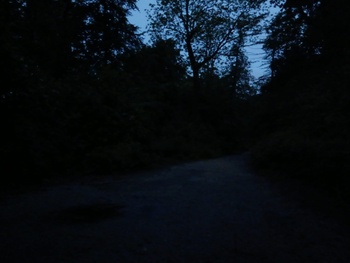 Dudenpark_donker_20260517