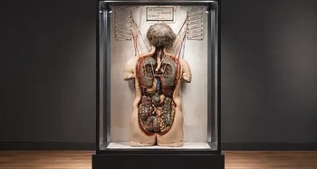 72e67f99-museumgeneeskunde.jpg