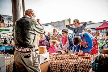 Growfunding kookmet BRUZZ ACTUA 1599