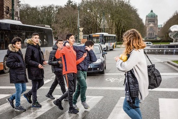 RONDE ZEBRA BRUZZ ACTUA 1602