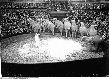 20180515 BIG CITY Koninklijk Circus BRUZZ ACTUA 1617