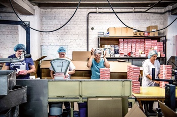 Joris vrouwen suikerfabriek BRUZZ ACTUA 1617