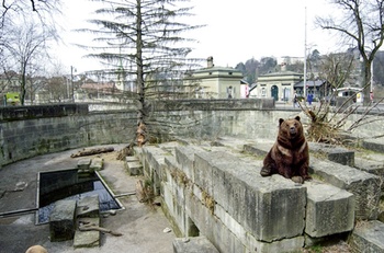 BG CITY bERENPUT bERN BRUZZ ACTUA 1622