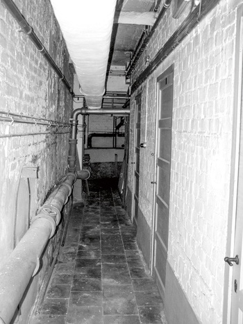 Gestapo BRUZZ ACTUA 1620