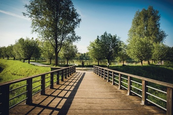 Neerpede brug natuurgebied jogger