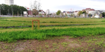20190620 Het park aan de Ninoofsepoort Mima Ninoofsesteenweg Brussel Leefmilieu kleine ring Mima grasvlakte onkruid wadi