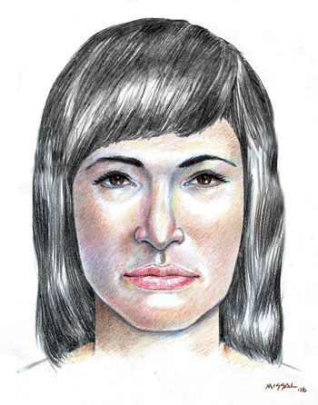 Mysterie verdwijning ijsdalvrouw Noorwegen