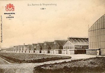 Ansichtkaart Serres van Stuivenberg in Laken
