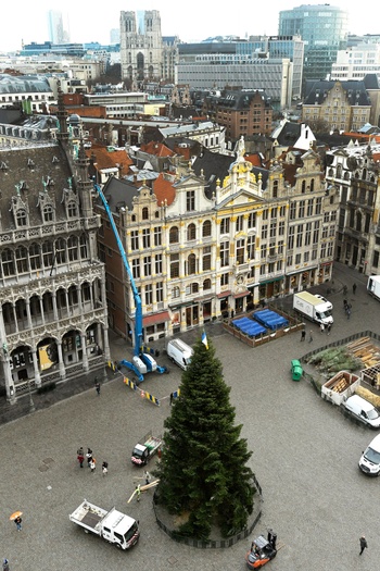 21 november 2019: aankomst en plaatsing van de Nordmann-kerstboom op de Grote Markt