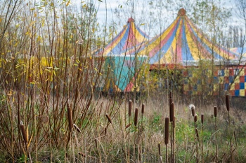 Biodiversiteit en natuurobservatie op de Josaphatsite