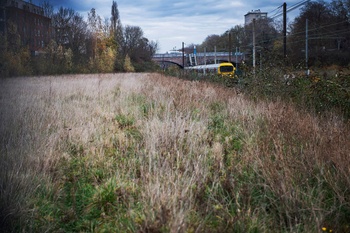 Biodiversiteit en natuurobservatie op de Josaphatsite