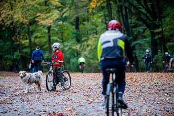 Wandelen en fietsen in Ter Kamerenbos