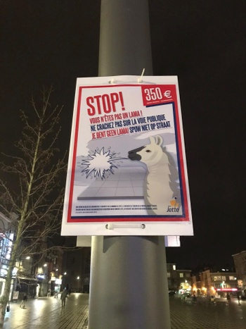 Je bent geen lama spuwen op straat verboden in Jette op straf van 350 euro boete