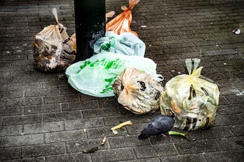 Net Brussel Oranje zak voedingsafval Net Brussel huisvuilophaling sorteren huisvuil groenafval tuinafval 3