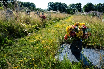 1854 Biodiversiteit Kerkhof Vogelenzang 34