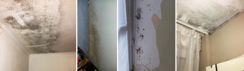 Jarenlange vochtproblemen in sociale woningen in Sint-Jans-Molenbeek.