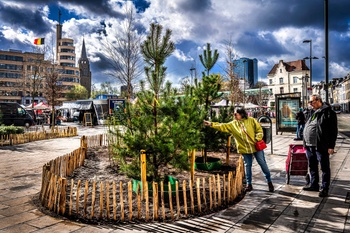 1883 BEELD Aanplanten bomen Flageyplein