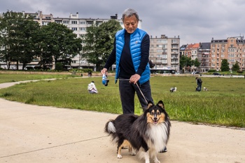 De restauratie van het park van Vorst 18