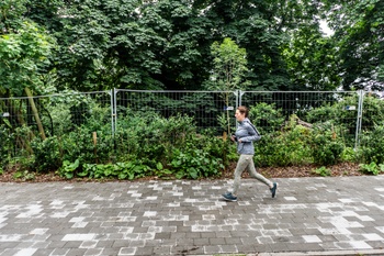 De restauratie van het park van Vorst 5