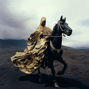 SLT0225 AImagine Delphine Diallo The Protector of Humanity 2024