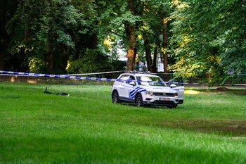 BRZ 20250511 1939 Opinie Fabian