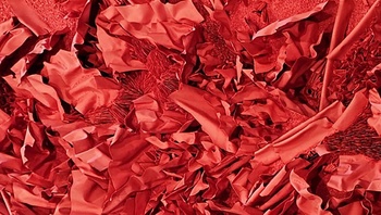 BRZ 20250924 1949 SLT TIP EXPO