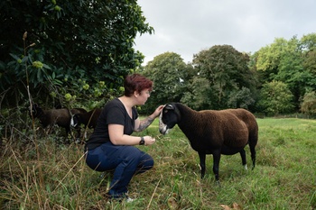 BRZ 20251022 1953 Schapen wol 4