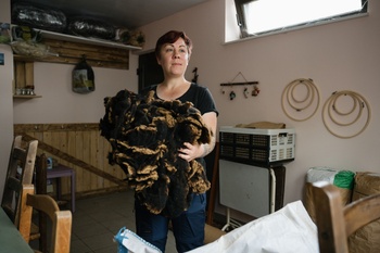 BRZ 20251022 1953 Schapen wol 2