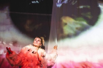 BRZ 20251126 1958 SELECT ode aan de verwondering