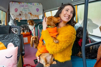 BRZ 20260225 City Job Madame cocker2