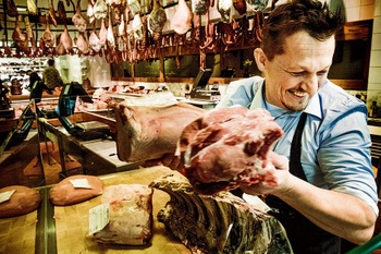 West vlamingen dierendonck BRUZZ ACTUA 1585