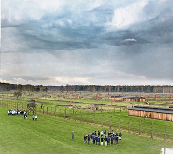 AUSCHWITZ bis BRUZZ ACTUA 1591