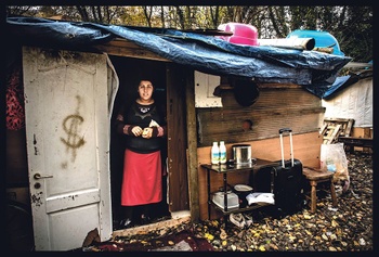 ROMA Tentenkamp Melkflessen BRUZZ 1549