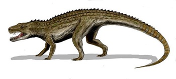 Zazie Postosuchus 300dpi rgb