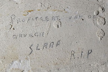 Kelder_Gestapogebouw_Louisalaan_(c)_Daniel_Weyssow_cmyk.jpg