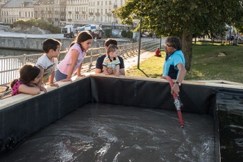 miroir bord de l'eau vullen