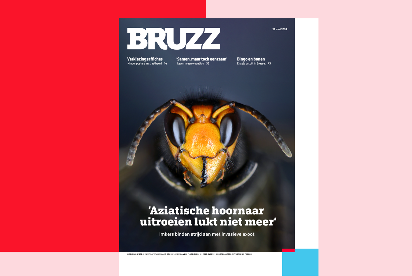 Voor jou homepage BRUZZ