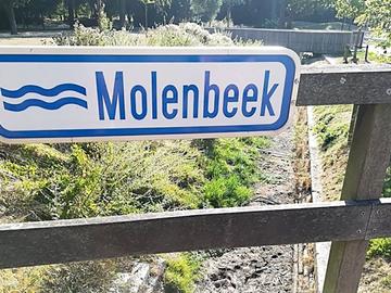 Er staat geen water meer in de Molenbeek.