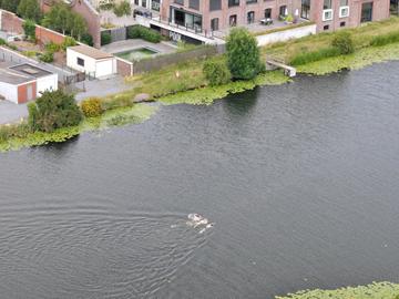 Kanaal Kortrijk Bossuit