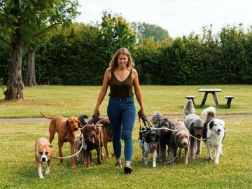 Hondenwandelingen doe ik met plezier, met tien tot vijftien honden tegelijk, aldus hondenpensionhoudster Jade Van Mol.