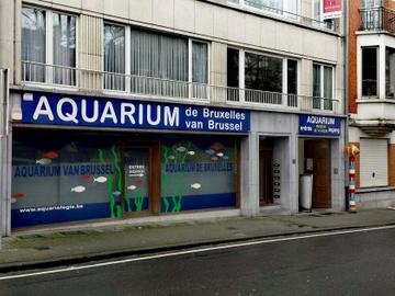 Aquarium Koekelberg