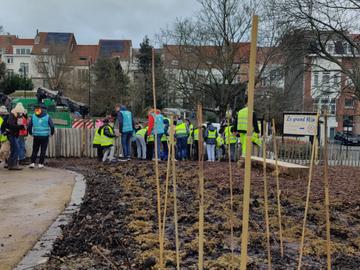 Kinderen plantten de bomen van het tiny forest of microbos in Neder-Over-Heembeek