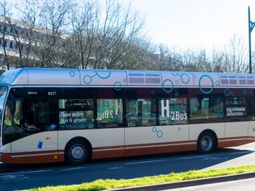 Zijaanzicht van de lijnbus van de MIVB die wordt aangedreven door waterstof (opschrift op de bus: H2bus)