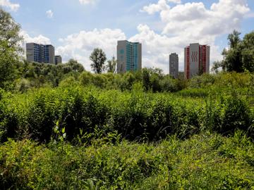 Natuurgebied met de bekende woontorens van Ganshoren achteraan.