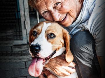 Een vrijwilligster bij dierenasiel Veeweyde in Anderlecht geeft een hond aandacht en liefde