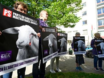 Protest van Gaia in 2022 tegen onverdoofd slachten voor het hoofdkwartier van de PS in Brussel