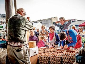 Growfunding kookmet BRUZZ ACTUA 1599